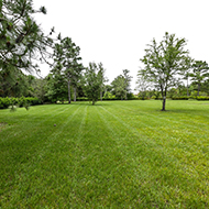 Sierra Homes - 1 acre of bahia sod